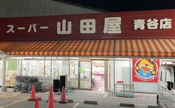 3LDK Joyo City Kyoto Prefecture (6)