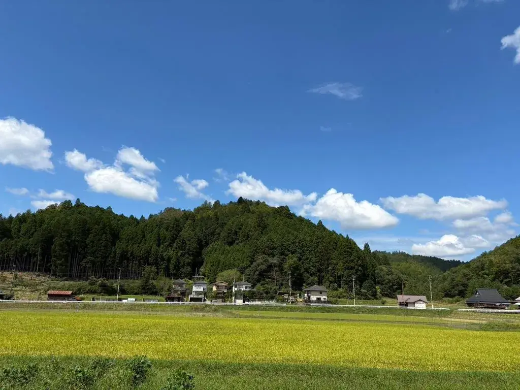 5DK Ukyo-ku, Ville de Kyoto, Préfecture de Kyoto (21)