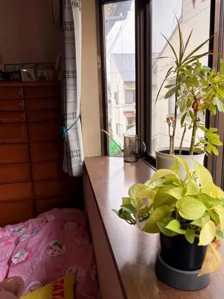 Prefectura de Kioto, Ciudad de Kioto, Distrito Kita, Propiedad 4DK (8)