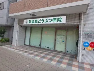 5SLDK 大阪市福島区 大阪府 (25)