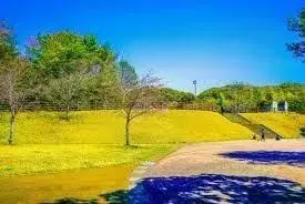 عقار 6DK مدينة كورومي محافظة فوكوكا (26)