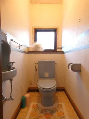 4SK Property Beppu City Oita Prefecture (18)