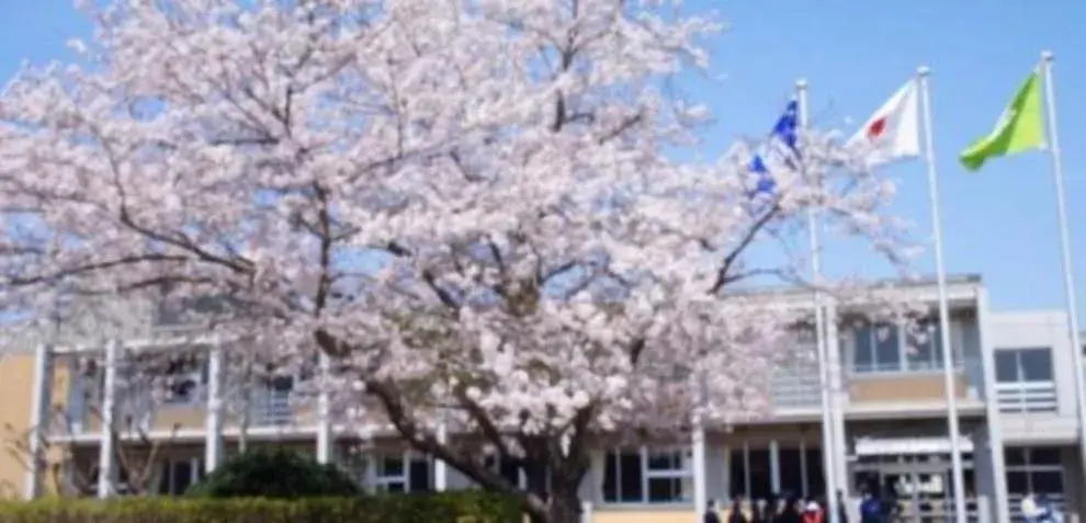 3LDK Ciudad de Mobara Prefectura de Chiba (6)