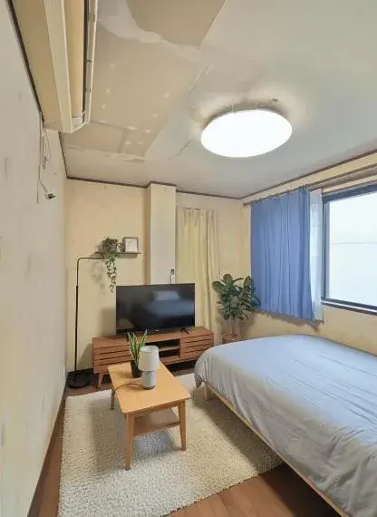 5SLDK Property Adachi-ku Tokyo (8)