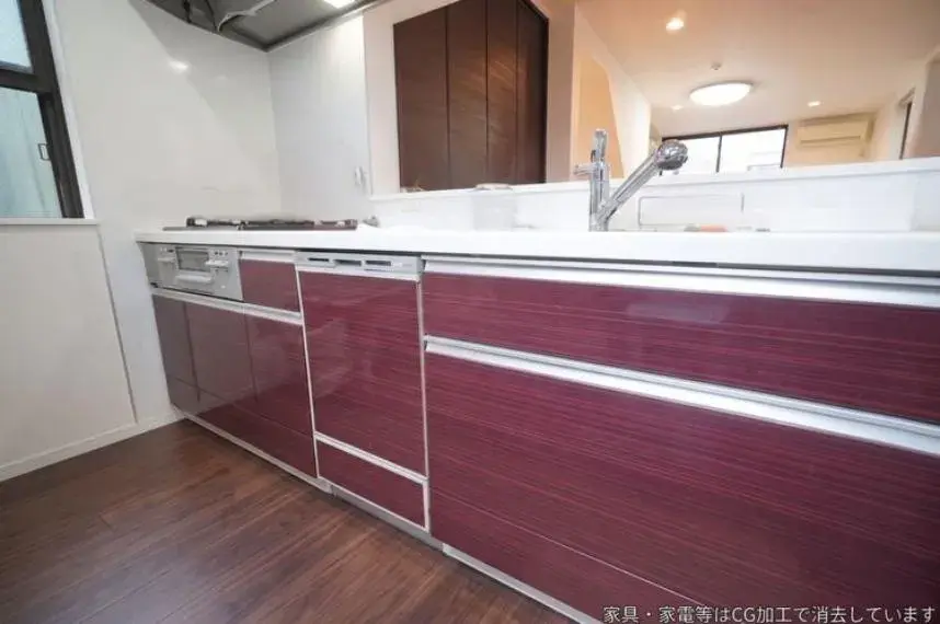 3LDK Property Suginami-ku Tokyo (15)