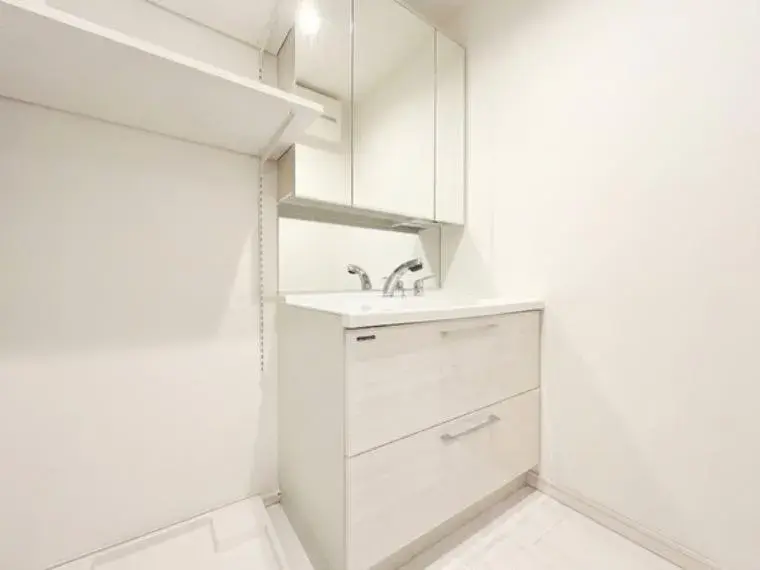 2SLDK Property Taito Ward Tokyo (13)