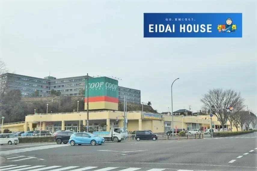 3LDK Aoba Ward, Sendai City Miyagi Prefecture (11)