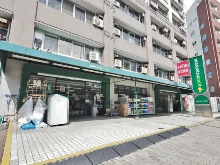 3DK Property Bunkyo-ku Tokyo (30)