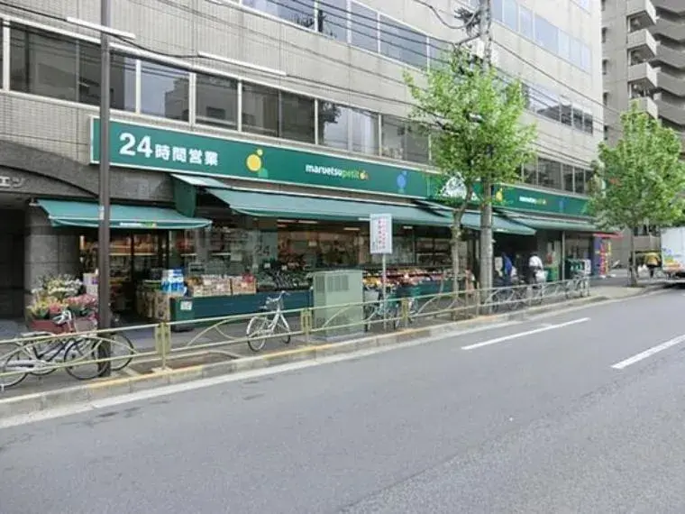 3DK Property Bunkyo-ku Tokyo (32)