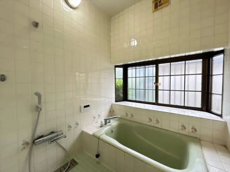 3LDK Property Maebashi City Gunma Prefecture (17)