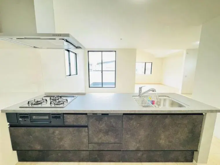 4LDK Propiedad Ciudad de Niiza Prefectura de Saitama (21)