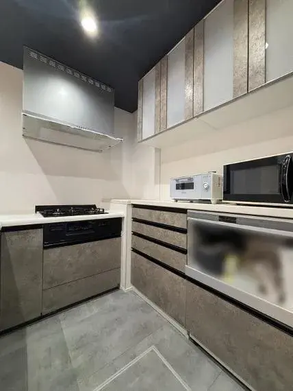 3LDK Property Katsushika-ku Tokyo (17)