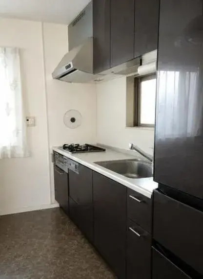 3LDK Property Edogawa Ward Tokyo (4)