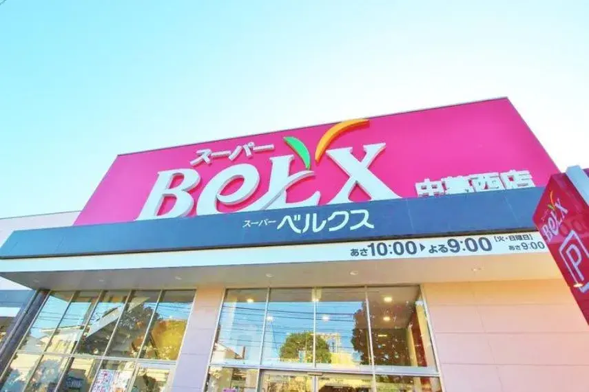 3LDK Property Edogawa Ward Tokyo (8)