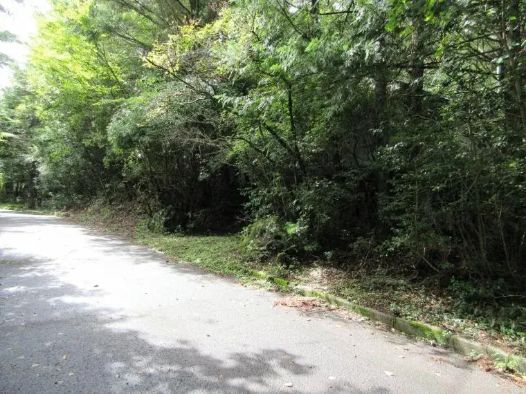 1LDK Property Narusawa Village Yamanashi Prefecture (10)