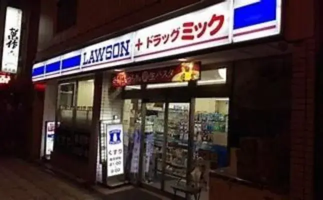 2LDK Property Kita Ward, Osaka City, Osaka Prefecture (12)