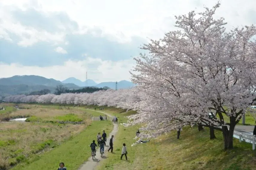 5SLDK物件 本庄市 埼玉県 (27)