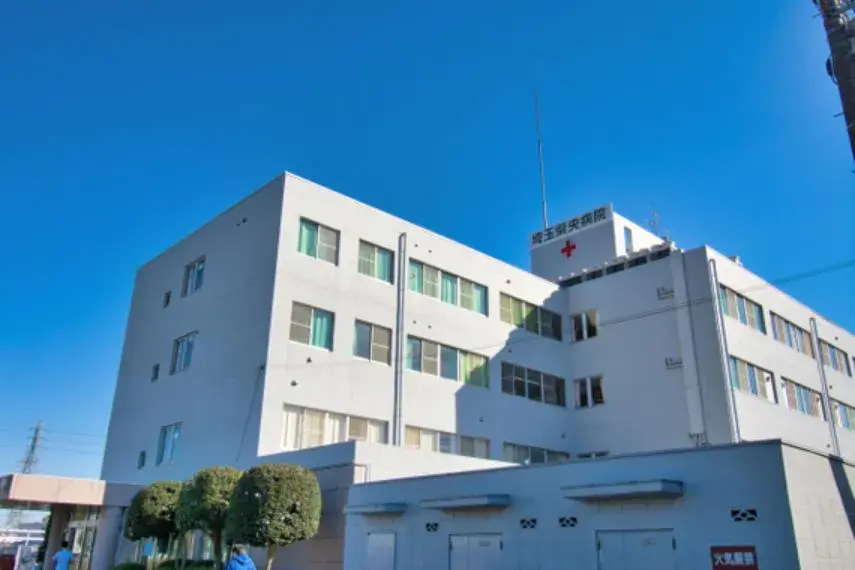 3SLDK Property Okegawa City Saitama (34)