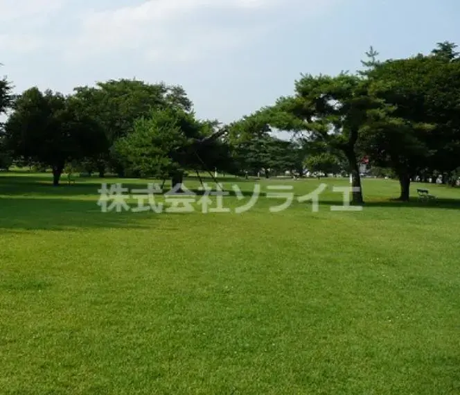 4DK 狭山市 埼玉県 (12)