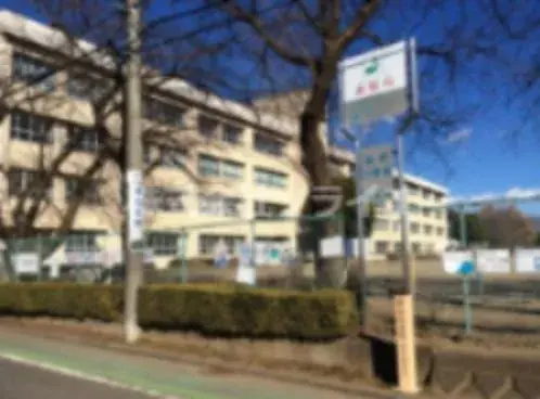 4DK 狭山市 埼玉県 (8)