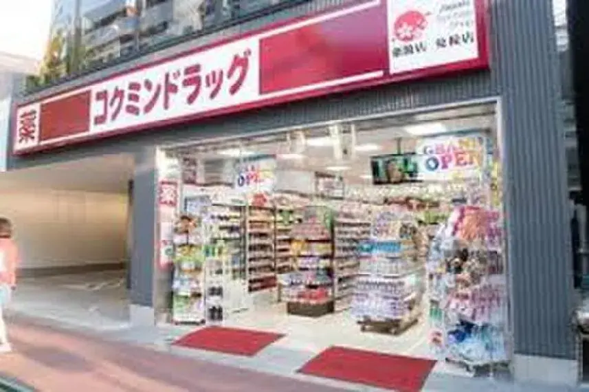 3LDK Property Toshima-ku Tokyo (7)