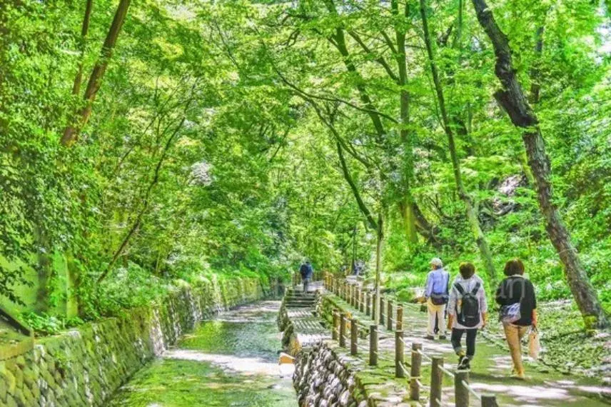 3SLDK房产 世田谷区 东京都 (25)