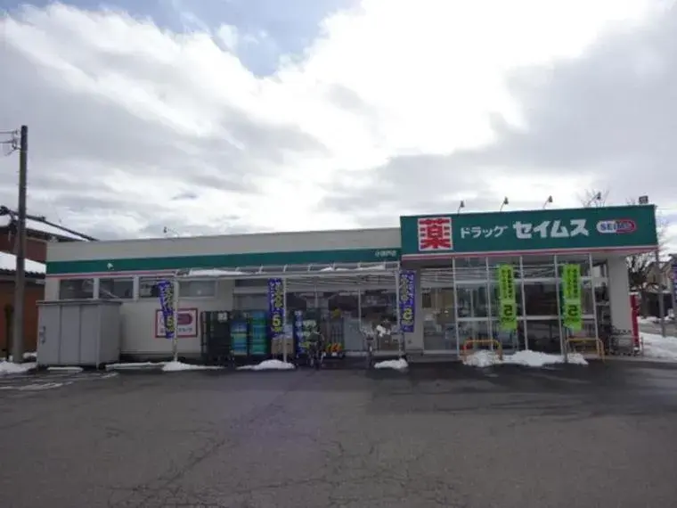 4LDK 新潟市秋葉区 新潟県 (7)