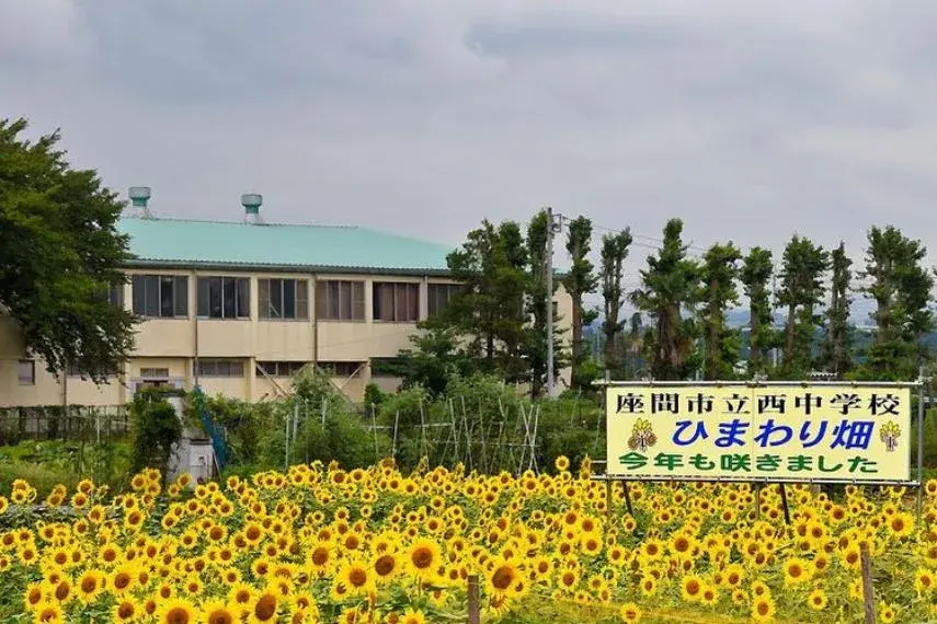 4LDK Property Zama City Kanagawa Prefecture (24)
