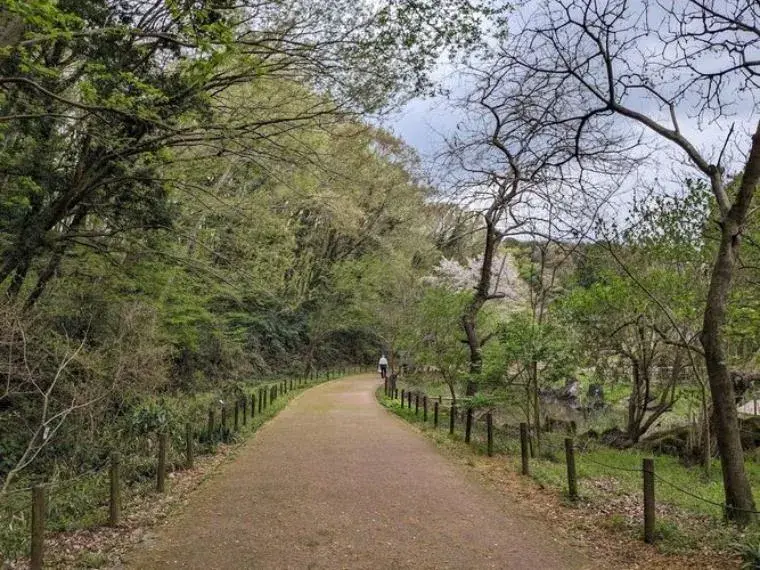 4LDK Property Zama City Kanagawa Prefecture (31)