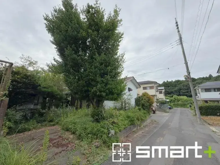 2DK Property Miho Village Ibaraki Prefecture (3)
