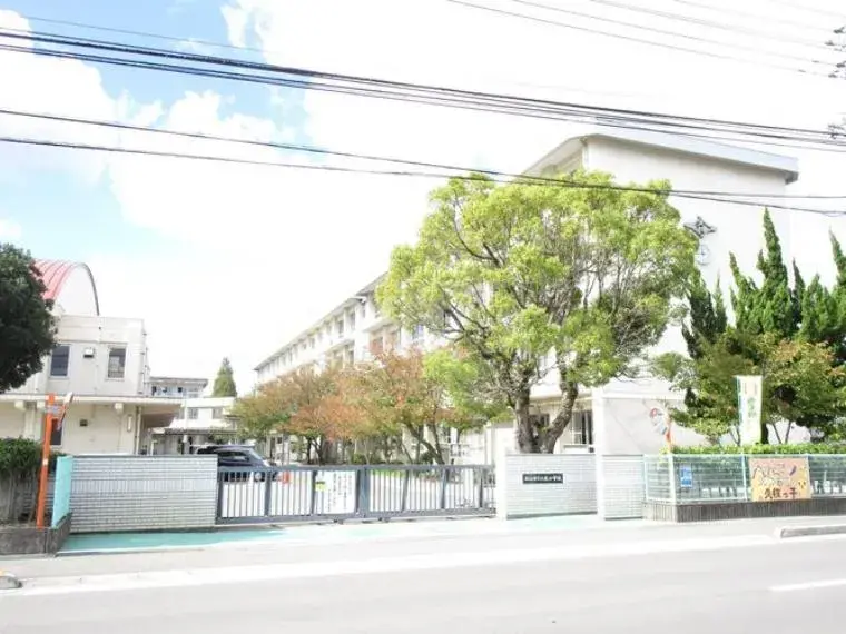 3DK Matsuyama City Ehime Prefecture (31)