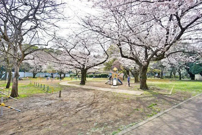 3LDK Property Suginami-ku Tokyo (9)