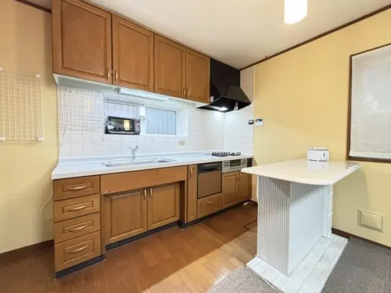 4LDK Property Tama City Tokyo (23)