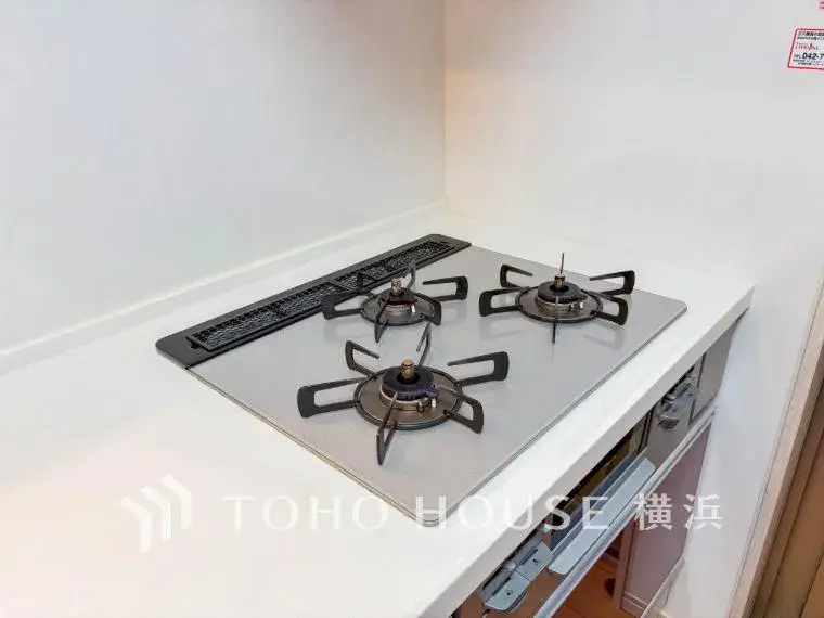 3LDK 相模原市南区 神奈川県 (21)