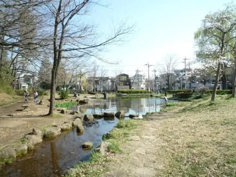 3LDK 相模原市南区 神奈川県 (34)