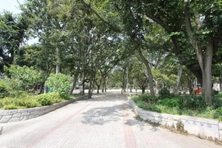 7SLDK Property Nerima Ward Tokyo (14)