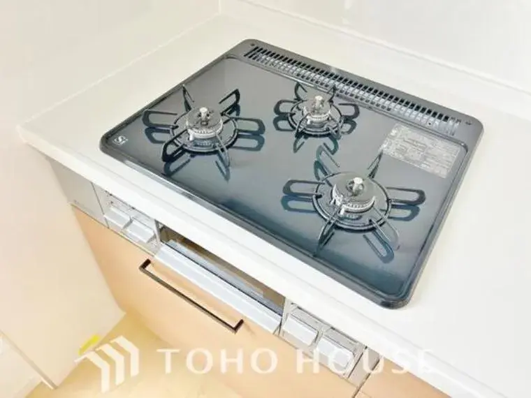 4SLDK Property Matsudo City Chiba Prefecture (22)