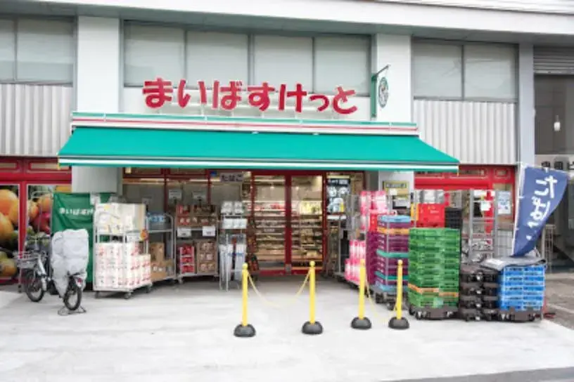 2LDK Property Setagaya-ku Tokyo (12)