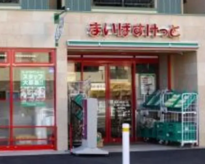 2LDK Property Setagaya-ku Tokyo (14)