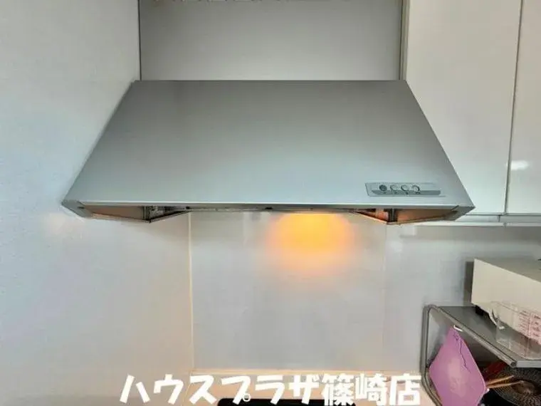 3LDK Property Edogawa Ward Tokyo (17)