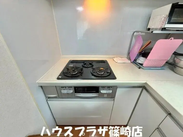3LDK Property Edogawa Ward Tokyo (21)