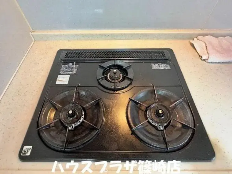 3LDK Property Edogawa Ward Tokyo (30)
