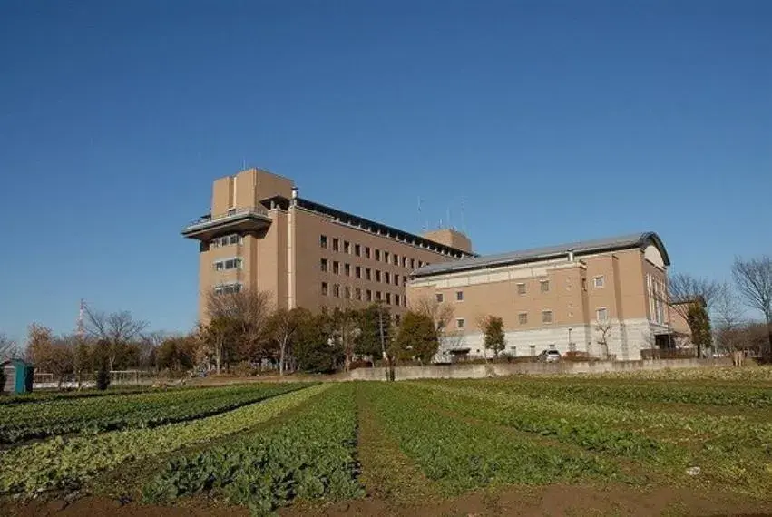 3SLDK Ayase City Kanagawa Prefecture (7)
