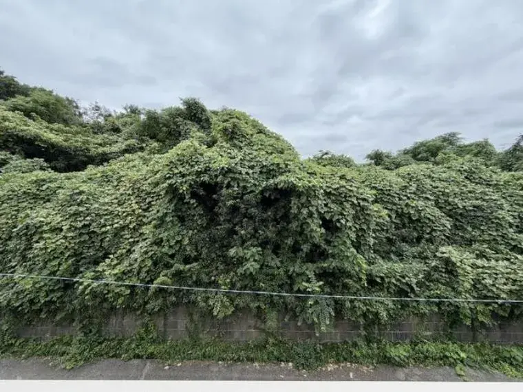 4LDK Property Kashiwa City Chiba Prefecture (30)