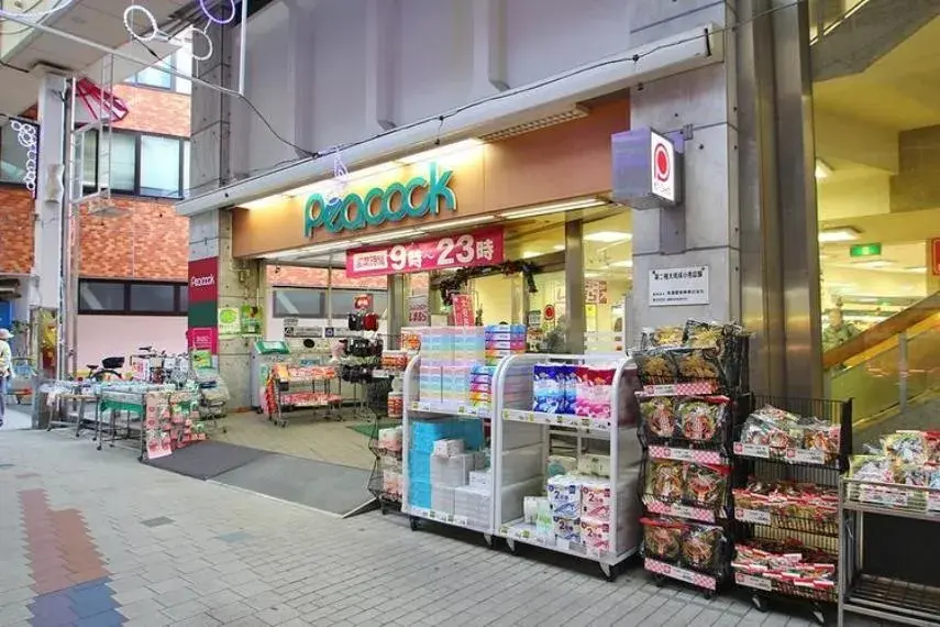 3LDK Property Suginami-ku Tokyo (27)