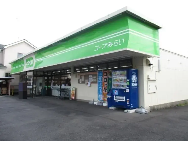Saitama Prefecture, Okegawa City 3SLDK Property (11)
