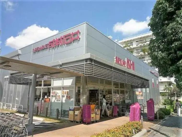 3LDK Property Meguro-ku Tokyo (35)