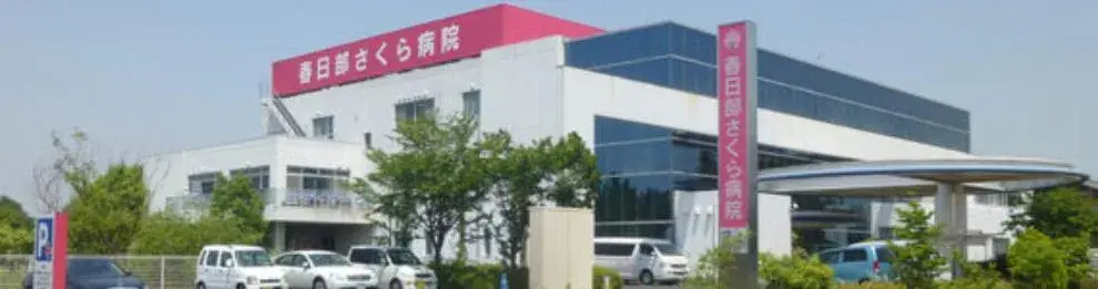 3LDK Property Kasukabe City Saitama Prefecture (20)
