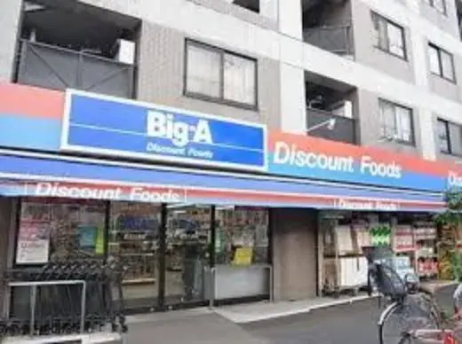 3SLDK Property Adachi-ku Tokyo (11)