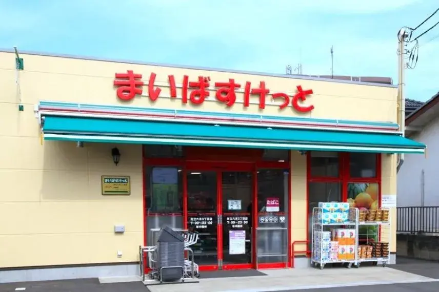 3SLDK Property Adachi-ku Tokyo (12)